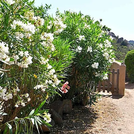 Domaine Bocca Di Feno 2* Bonifacio (Corsica)