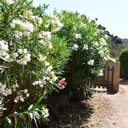 Domaine Bocca Di Feno Parco vacanze