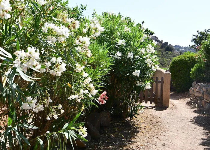 Domaine Bocca Di Feno Aldeamento Turístico
